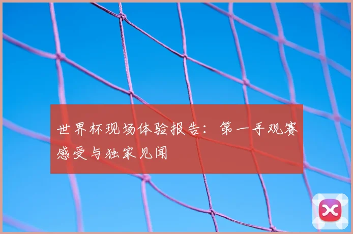 世界杯现场体验报告:第一手观赛感受与独家见闻