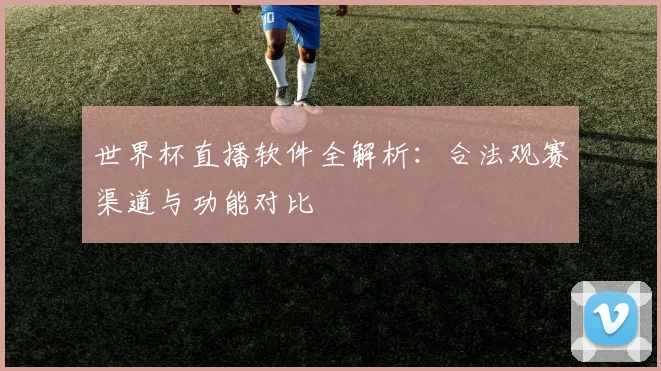 世界杯直播软件全解析：合法观赛渠道与功能对比