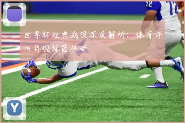 世界杯经典战役深度解析:体育评书再现绿茵传奇
